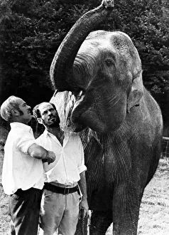 Elephant Prints: Mr Hugh Palmer (left) and his identical twin brother George, co-owners of Cardiff Zoo