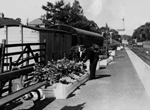 Tracks Prints: Mr. J. D. Cram Station Master at Riding Mill Railway Station is busy with the prize