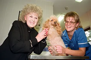 Veterinary Surgery Prints: Mrs Beryl Cartmale with one legged poodle Amber and PDSA veterinary nurse Mandy Woodall