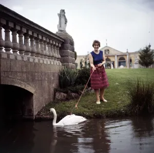 00158 Prints: Mrs Jean Rubenius letting out her blind swan Lucifer on the river at Upper Basildon