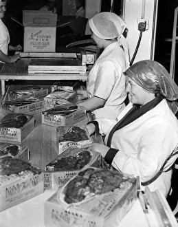 Production Line Prints: Mrs M Ireland (right) and Miss I Pesticcio at work on the export cake band in the Avana