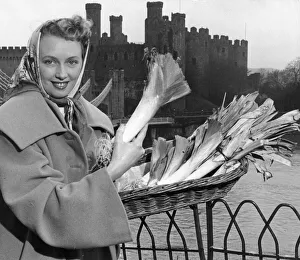 Symbol Prints: Mrs Margaret Kenyon holding a basket of leeks as she stands in front of Conwy Castle in
