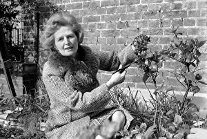 Mrs. Margaret Thatcher enjoying the sunshine in her front garden of her London Home