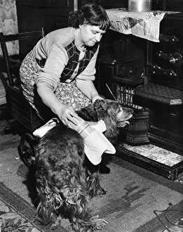 Mrs. Mathison of Hull is sufered with arthritis and moves around the house in a wheeled