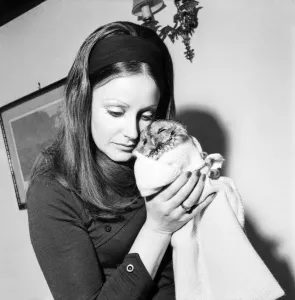 Mrs. Valerie Davies who is caring for Fred'the injured Owl January 1971