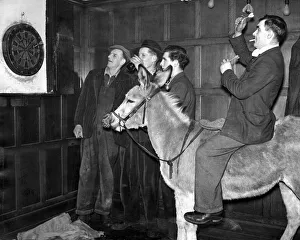 Funny Prints: Muffin watches the score as his owner is playing darts at the Marquis of Clanricarde