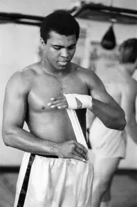 Portrait Posed Prints: Muhammad Ali in the gym ahead of his clash with Smoking Joe Frazier to be held