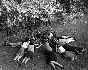 Spirituality Prints: Munitions workers taking in the sunshine as they have their fortunes told by Miss Ethel