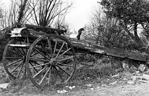 History Prints: Mystery surrounds the origin of this firemans turntable ladder
