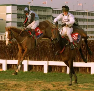 Cheltenham Prints: Nahthen Lad right Mr Mulligan at the last to win the Sun Alliance Chase at Cheltenham