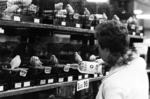 Exhibitions Prints: National Exhibition of Cage and Aviary Birds 1974 Steward Gillian Thomson tops up