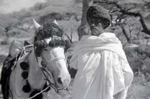 Core80 Prints: Native chief Hargeisha of Somaliland with his horse Circa 1935 Animals