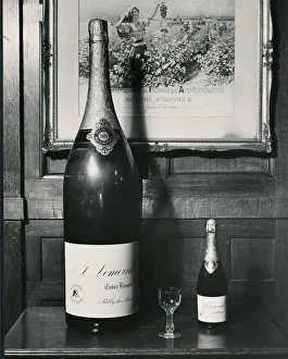Size Prints: Nebuchadnezzar of Champagne which contains 20 normal size bottles of Champagne