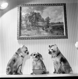 Neddy'pet dog of Mrs Taylor seen here intimidating two china dogs