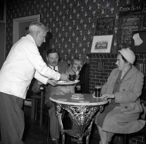 Serving Prints: Nemo is served a pint of beer at his local pub November 1959 1950s