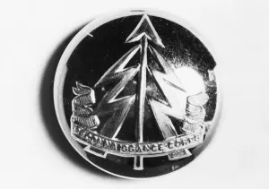 The new button badge of the Reconnaissance Corps: a vertical spear supported on each side