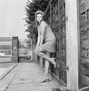 New film Crossplot, begins production at Elstree Studios today, Monday 9th September 1968