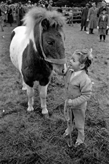 New forest pony sales - Brockenhurst Jane Jacobs and Patch