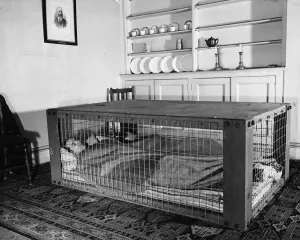 Shelter Prints: The new indoor Table shelter announced by the Minister of Home Security in the House of