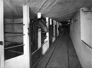 00052 Prints: Some of the new loose horse-boxes at the Bomarsund Pit of the Bedlington Coal Company
