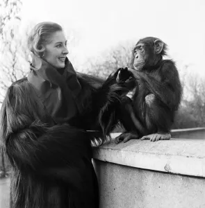 A new range of jungle fashions was launched in an unusual way (Friday