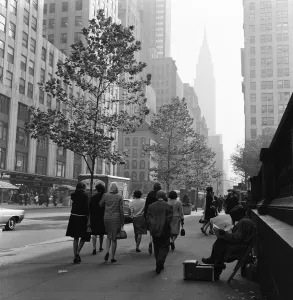 Trees Prints: New York Scenes, with profile of Empress State Building in background