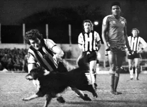 Core04 Prints: Newcastle United Action - Newcastle United v QPR 15 December 1979 - Peter Withe tries to