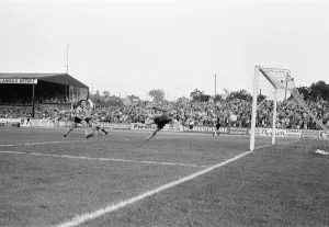 Newport 0-2 Reading, Division Three league match at Rodney Parade