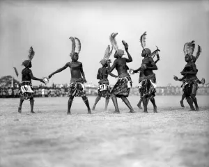 Nigerian women, wearing feathered headdresses and traditional costumes
