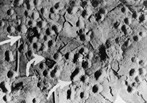 Target Prints: On the night of 28th May 1944, RAF Bomber Command attacked another coastal defence