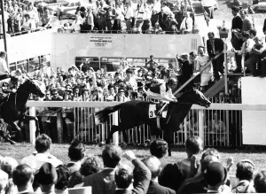 The Derby Prints: Nijinsky and jockey Lester Piggott wins Derby at Epsom - June 1970