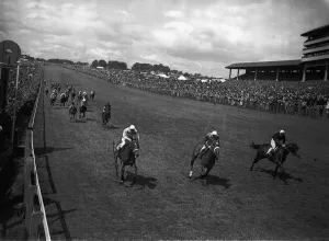 Nimbus (centre) wins the Derby from Armour Brake (right) and Swallow Tail (left
