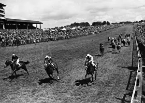 Nimbus (centre) wins Epsom Derby in 1949 with Amour Drake (R) 2nd Swallow Tail (L