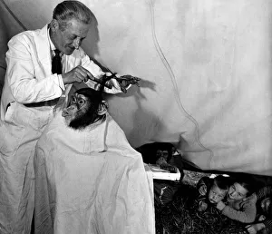 Barber Prints: What are these nippers underneath the tent adjoining the big-top of Billy smart