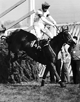 Festival Prints: No46 Aldaniti with Bob Champion jumps the last fence to win the 1981 Grand National