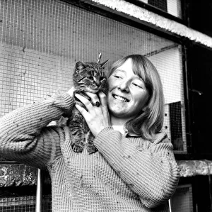 Noel'the Belgium cat came across to Southampton in a giant cargo container