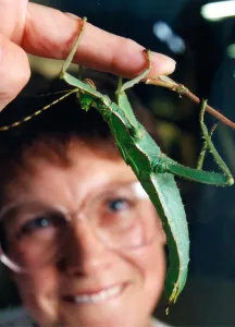 Noreen Wright with a Malaysian Jungle Nymph at a Creepy Crawley Exhibition in August 1995