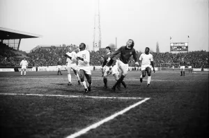 Northern Ireland 1-1 Portugal, World Cup Qualifier, Highfield Road, Coventry