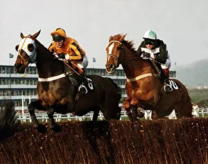 Nortons Coin goes head to head with Garrison Savannah in the 1991 Cheltenham Gold Cup