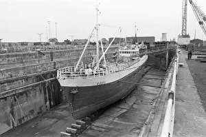 Trawler Prints: The Norwegian trawler Ringo (R-300 S) seen here in dry dock for repairs in Hull