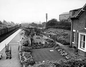 Nuneaton Abbey Street Station, which came top in the station gardens competition