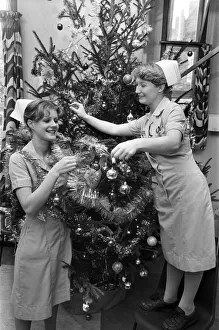 Christmas Tree Prints: Nurses decorate a Christmas tree in Dudley Guest Hospital Birmingham