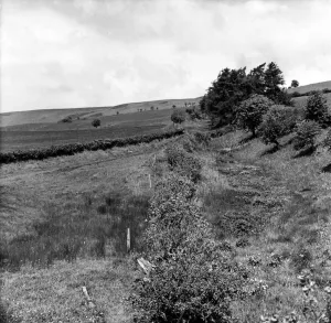 00683 Prints: Offas Dyke is a large linear earthwork that roughly follows the current border