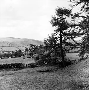 00683 Prints: Offas Dyke is a large linear earthwork that roughly follows the current border