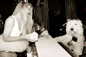 Canines Prints: Old English Sheepdog is served champagne by a barmaid in a tutu