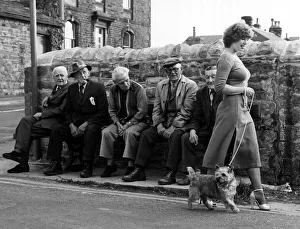 Old People - Old men seated on a bench watch a girl walking her dog go by