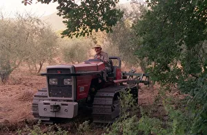 Machines And Components Prints: Olive Farmer known as a Contadino cleaning an Olive grove in the hills of Monte Sabbini