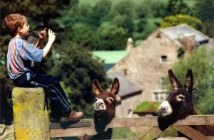Oliver Jackson, 11, from Hexham plays the penny whistle to the animals in June 1998