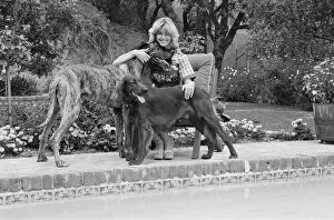 01060 Collection: Olivia Newton John, singer and actor, pictured at home in Malibu, California, America