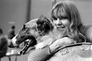 Images Dated 7th February 1975: Olympia: Crufts Dog Snow. February 1975 75-00744-001